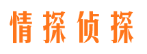 宿州市婚外情调查